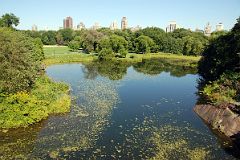 27A Belvedere Lake In Central Park Midpark 79 St.jpg